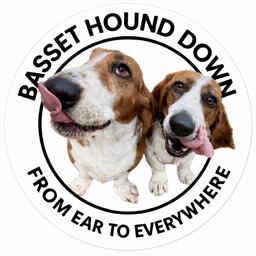 Basset Hound Down logo